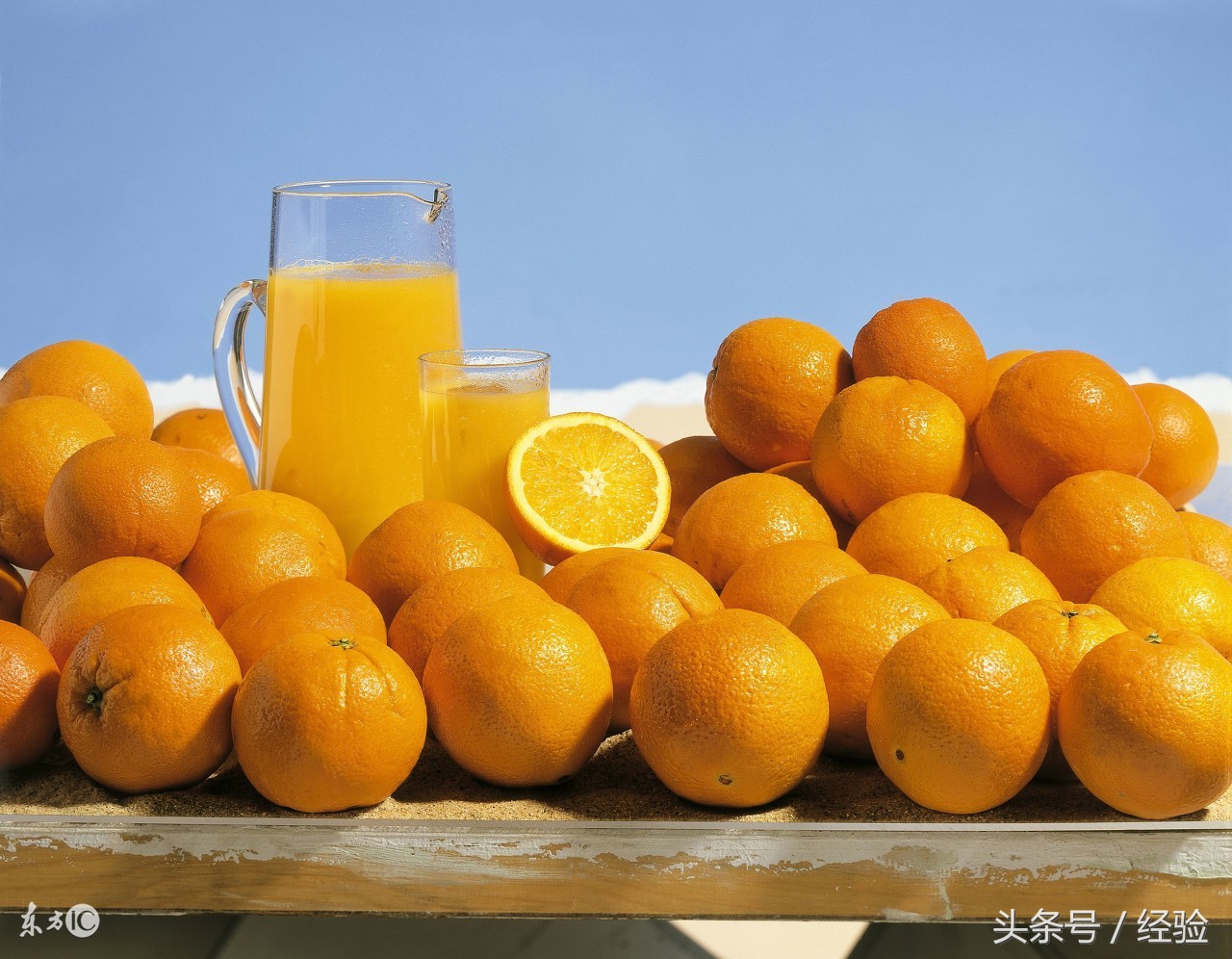 柑桔锈壁虱怎么诱发的,柑橘锈壁虱适宜的温度