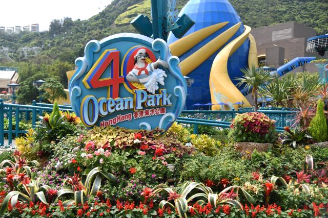 玩遍香港攻略,香港怎么玩最省钱攻略