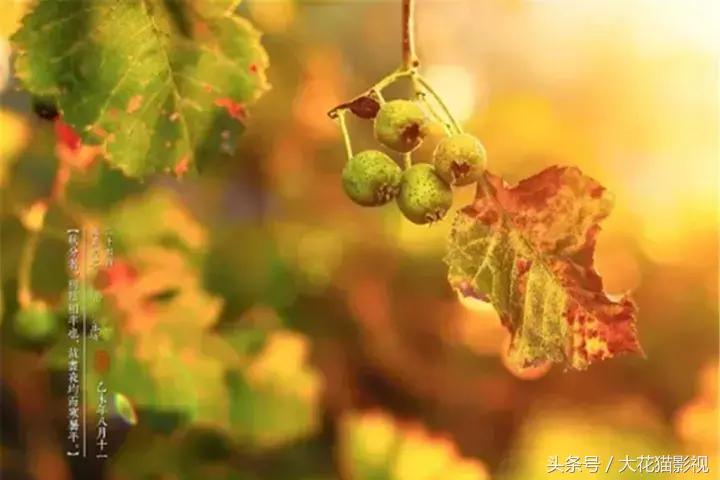 心若安暖万事从容,心若平静万事皆空