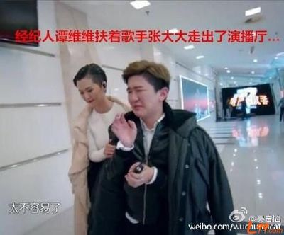 从经纪人到明星的演员有哪些,从经纪人到娱乐大佬