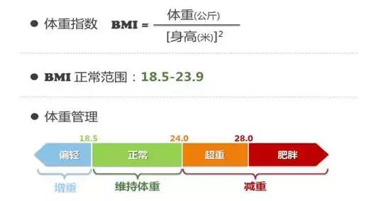 怎么减肥才能把肉肉减下来,养瘦健康减肥