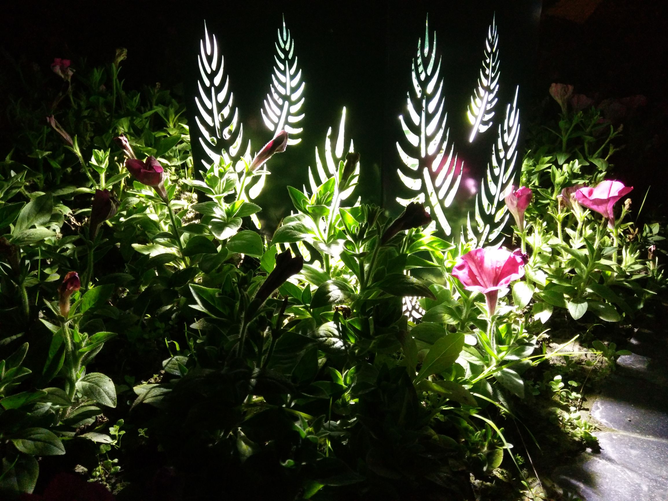 峨眉半山七里坪吃什么,峨眉半山七里坪怎样