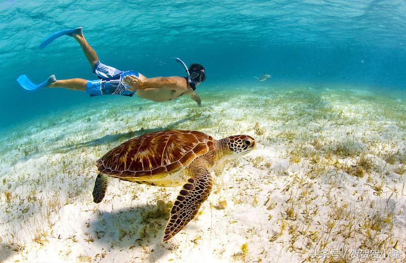 游轮旅行日本攻略,坐游轮去日本大概需要多少钱