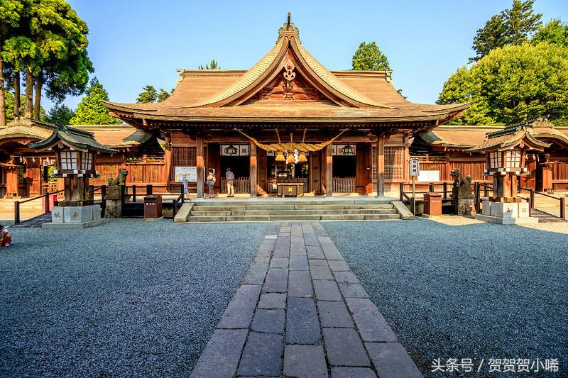 游轮旅行日本攻略,坐游轮去日本大概需要多少钱