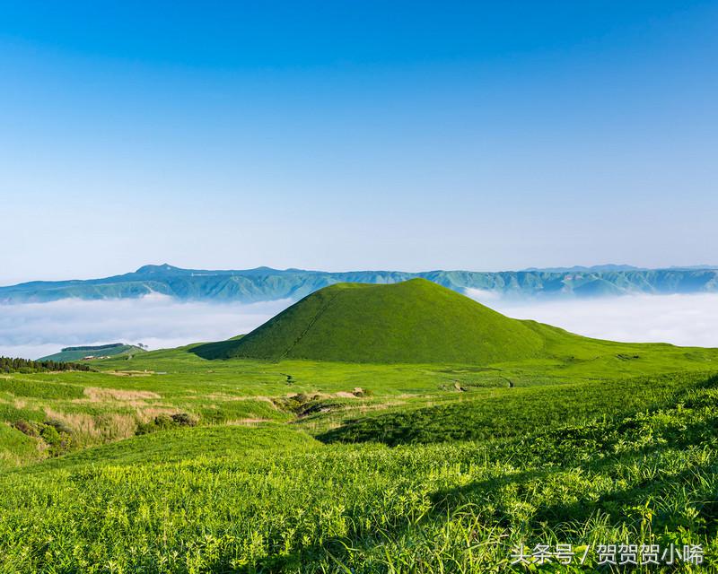 游轮旅行日本攻略,坐游轮去日本大概需要多少钱