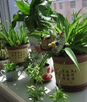 碳包放了一个月，到底把甲醛吸干净没？