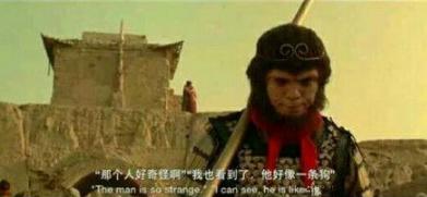 世界上最好的几只狗狗,世界上最强大的十条狗狗