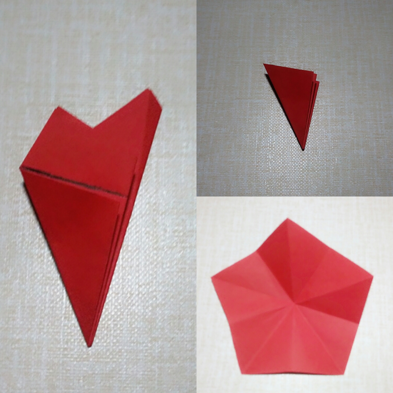 立体花朵折纸教程康乃馨,花朵折纸教程