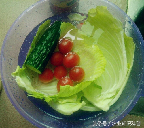 鸡毛菜怎样洗能去除农药残留,教你9种方法去除果蔬农药残留