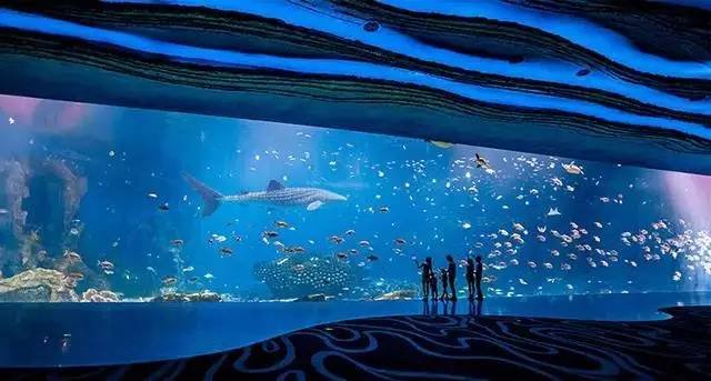 珠海长隆第四届中国国际马戏节,珠海长隆国际马戏节多少钱