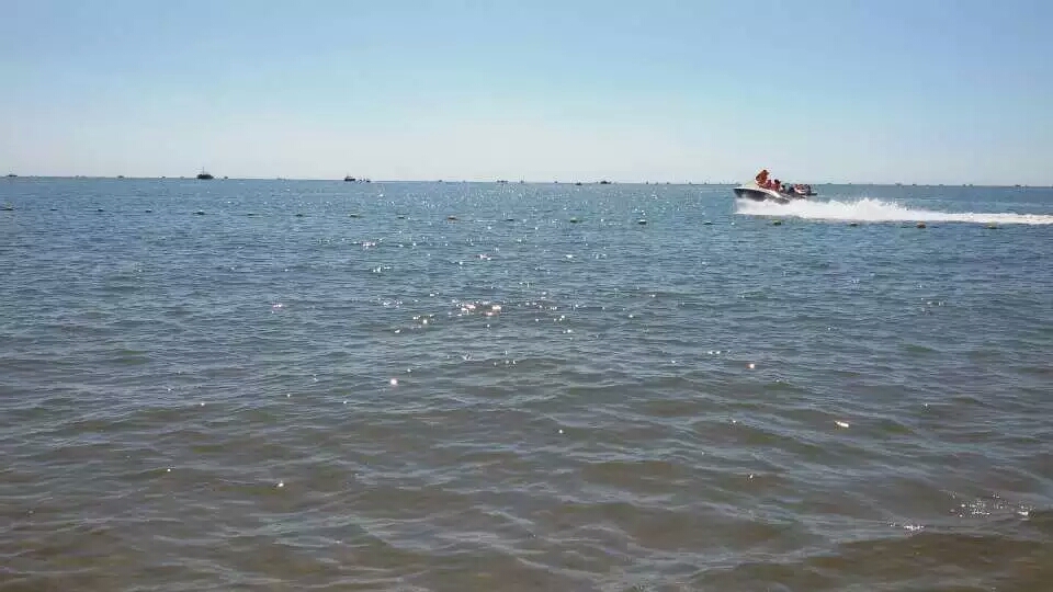 临海听涛,临海听涛秦皇岛