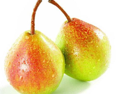 冬天上火吃什么食物好得快,冬天吃橙子上火还是去火