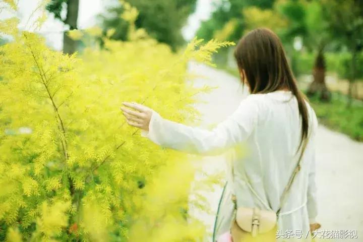 心若安暖万事从容,心若平静万事皆空