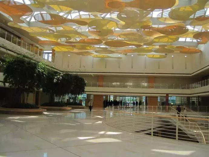 华为的使命愿景价值观,华为价值观以奋斗者为本