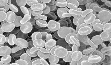 眉毛为什么这么短,眉毛为什么长到一定程度就不长了