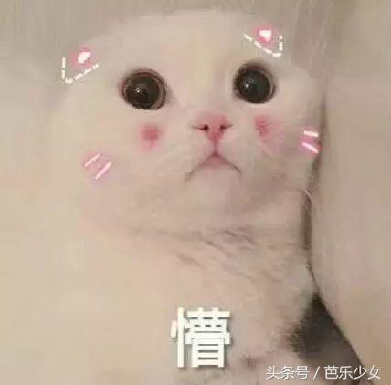 喵星人彩妆,喵星人美妆