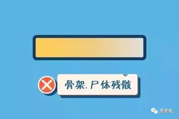 怎么挑选宠物店狗粮呢,宠物狗粮怎么挑选好坏