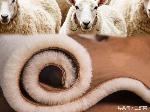 平价雪地靴推荐测评,雪地靴应该选哪款