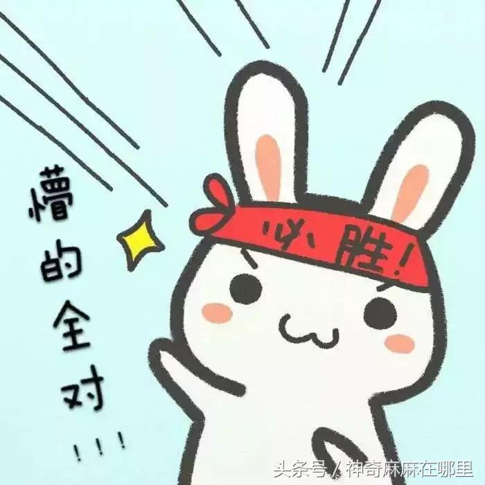 双11数学怎么样,双11数学解题技巧