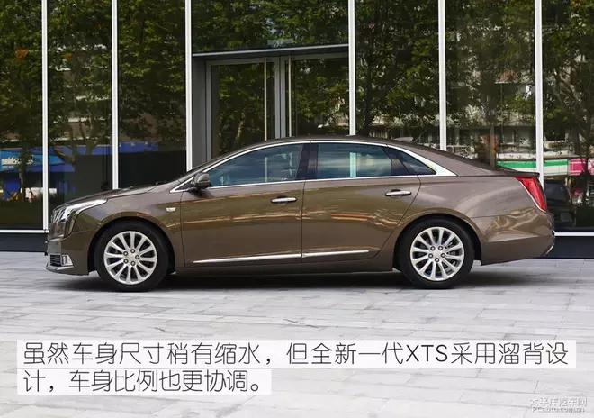 30万左右的中大型豪华轿车值得您拥有