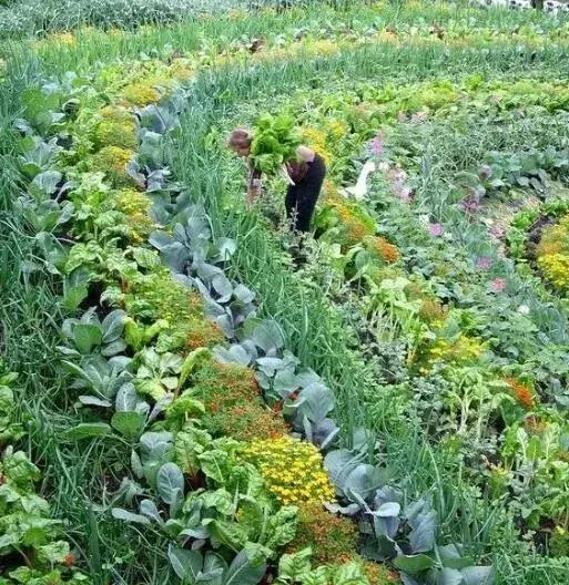浅谈现代农批市场如何破局,农批市场招商策略