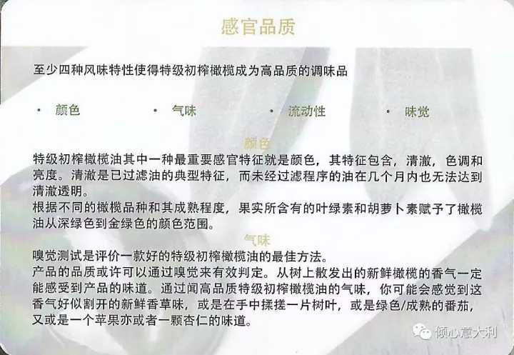 3分钟了解橄榄树,一分钟了解油橄榄