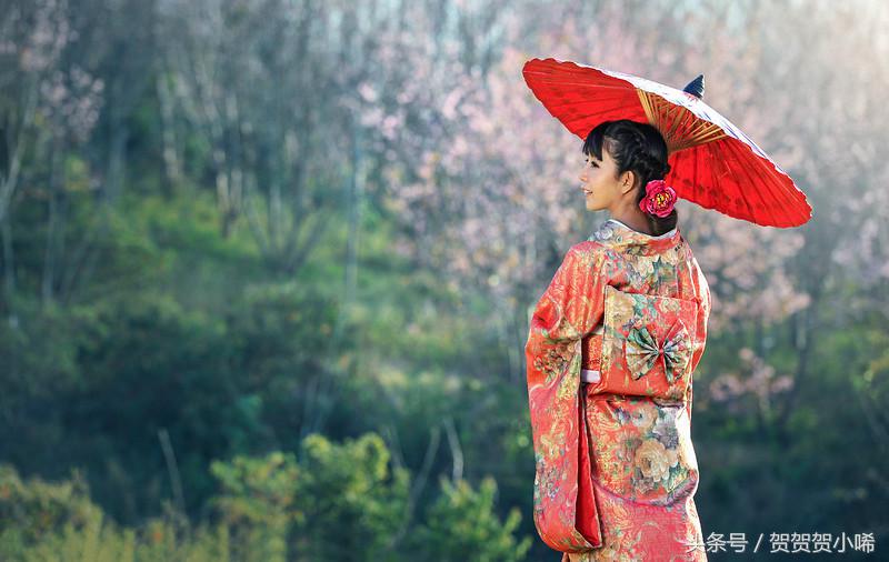 游轮旅行日本攻略,坐游轮去日本大概需要多少钱