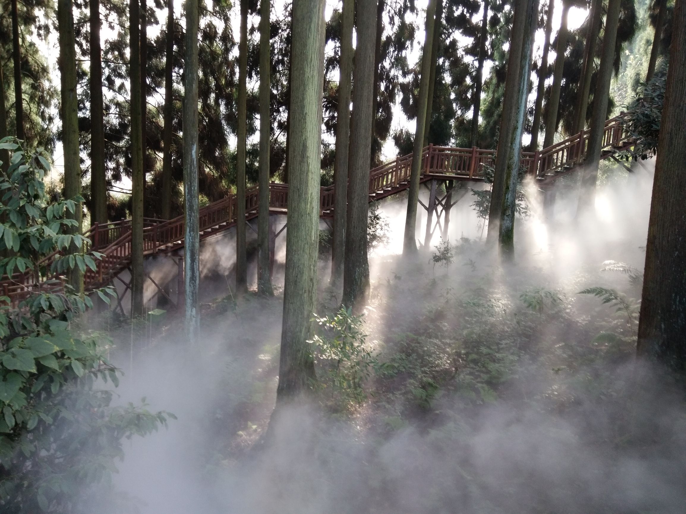 峨眉半山七里坪吃什么,峨眉半山七里坪怎样