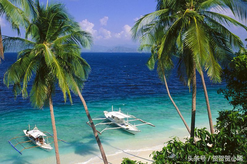 游轮旅行日本攻略,坐游轮去日本大概需要多少钱