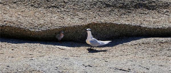 三亚的阳光与海滩,遇见阳光沙滩三亚