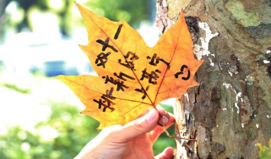 苏宁改革创新,苏宁文创营销模式