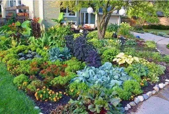 浅谈现代农批市场如何破局,农批市场招商策略