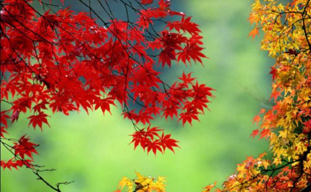 天津是一座幸福的城市,在天津生活的归属感