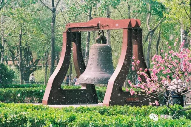 天津是一座幸福的城市,在天津生活的归属感