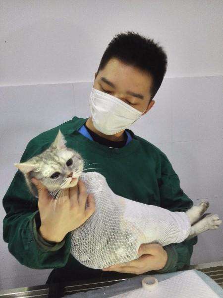 做宠物医生需要什么专业,做宠物医生要什么条件