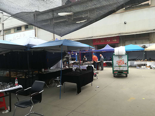 这几天在哪里挖玉石,这几天哪里可以捡玉石啊