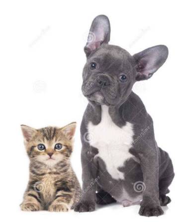 活体宠物一经售出,活体一经售出概不退换合法吗