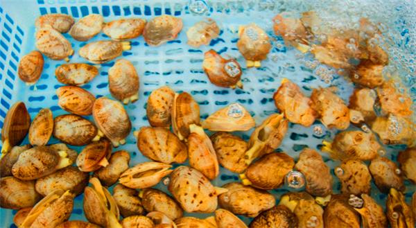 三亚的阳光与海滩,遇见阳光沙滩三亚