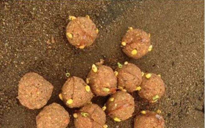 野钓爆炸钩使用教程,浮钓爆炸钩的使用方法图