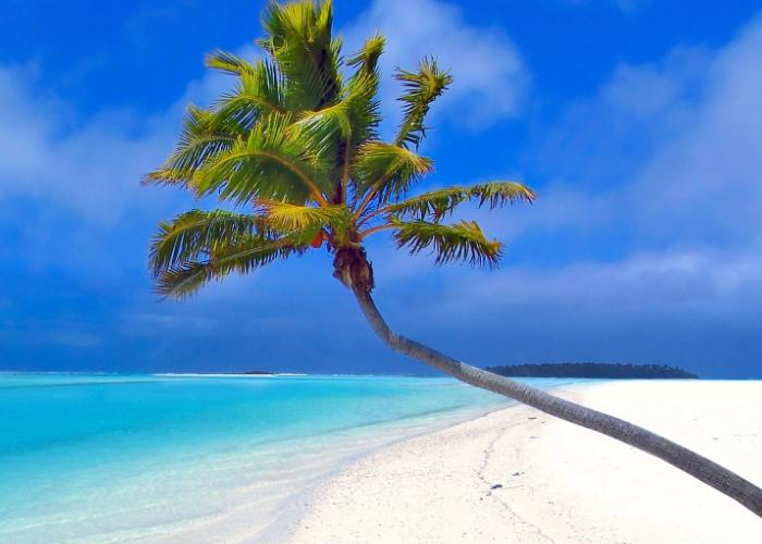 怎样在职场中处理好人际关系,职场如何圆场