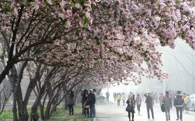 天津是一座幸福的城市,在天津生活的归属感