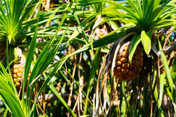 三亚的阳光与海滩,遇见阳光沙滩三亚