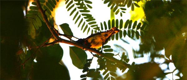 三亚的阳光与海滩,遇见阳光沙滩三亚