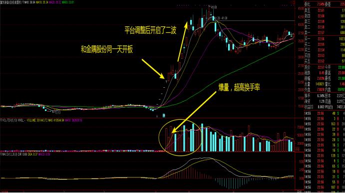 怎样找黑马股,如何寻找黑马潜力股