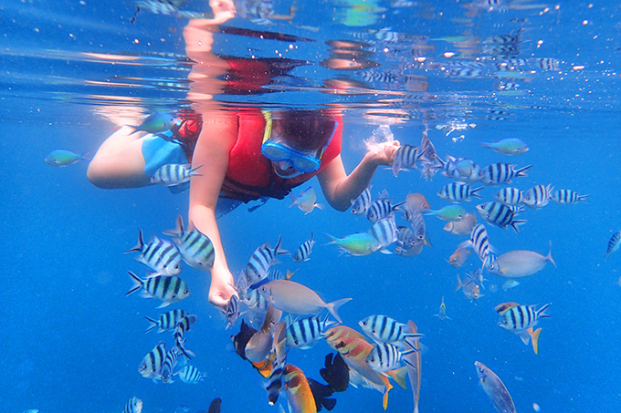 巴厘岛旅游景点大全排名榜单,巴厘岛旅游必去景点排行榜