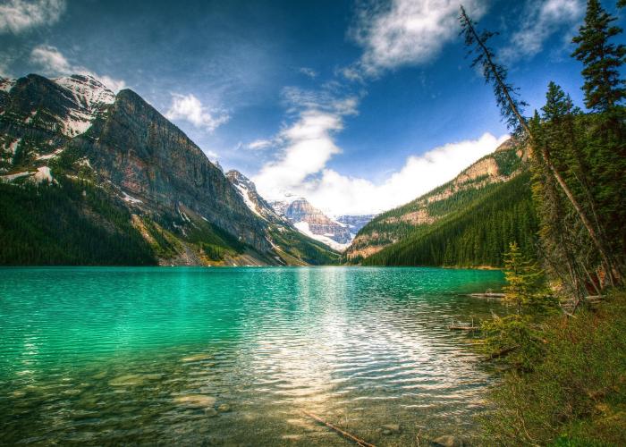 怎样在职场中处理好人际关系,职场如何圆场