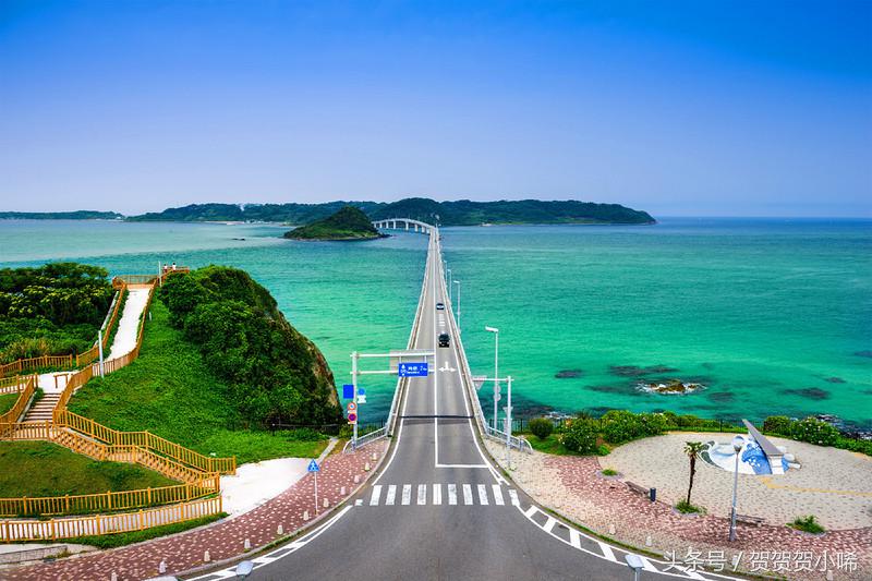 游轮旅行日本攻略,坐游轮去日本大概需要多少钱