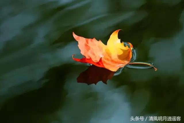 读古诗益处多多,读古诗健身