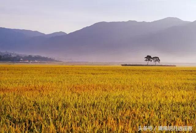 读古诗益处多多,读古诗健身
