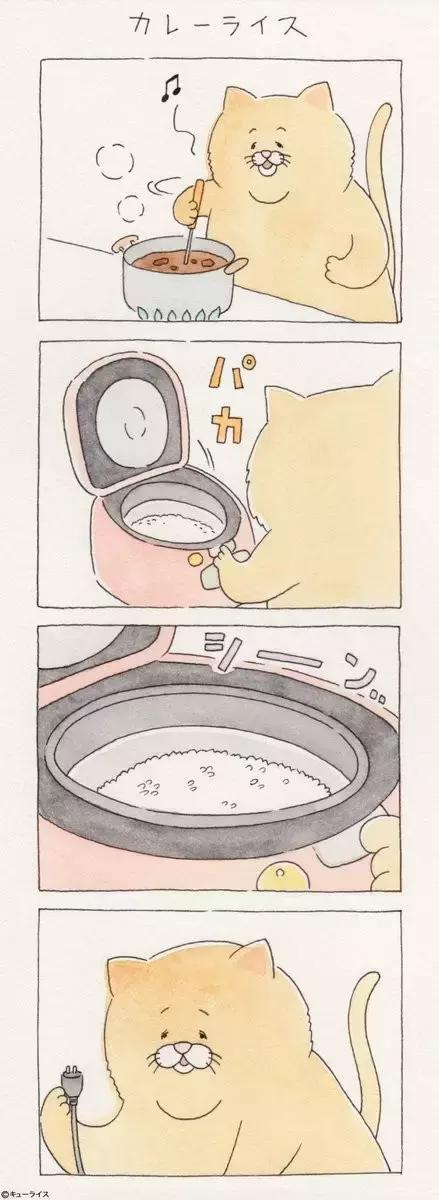 一只普通橘猫的成长史,橘猫的真实成长